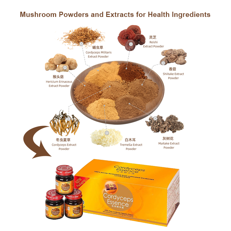 Top Benefits of Red Reishi Mushroom for Liver Function